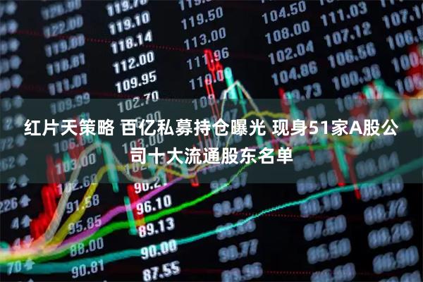 红片天策略 百亿私募持仓曝光 现身51家A股公司十大流通股东名单